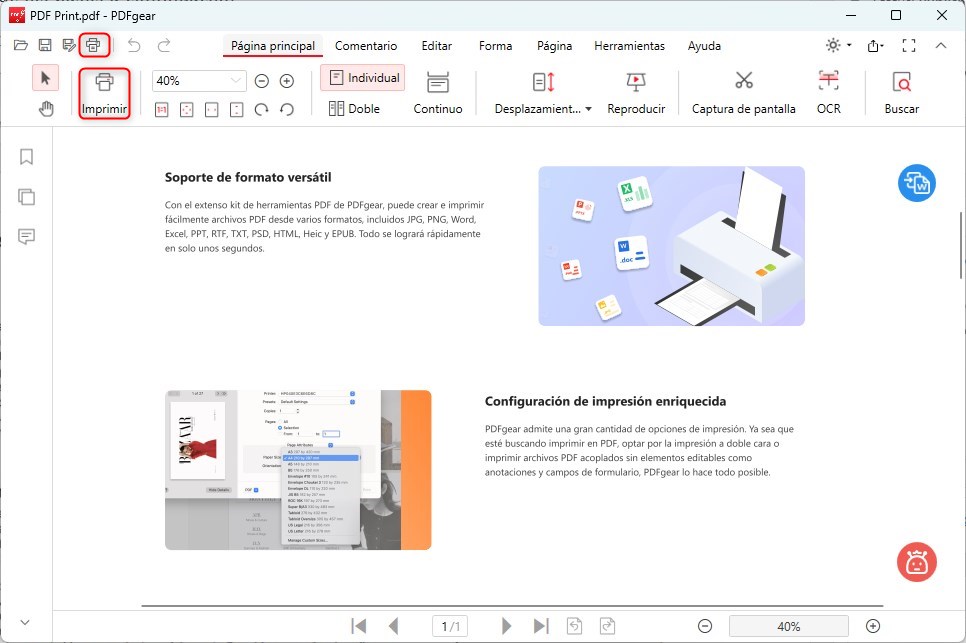 Hacer clic en el icono de imprimir
