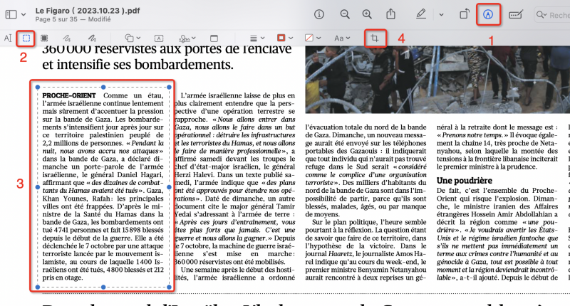 Cliquez sur le bouton rectangle dans l'aperçu
