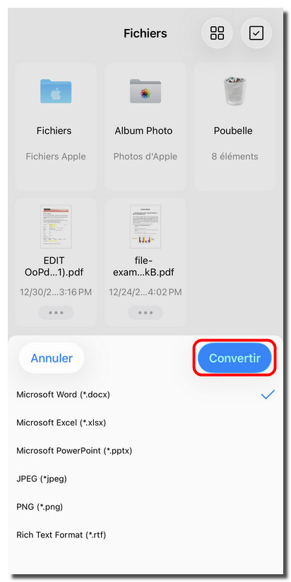 Choisir un format de conversion