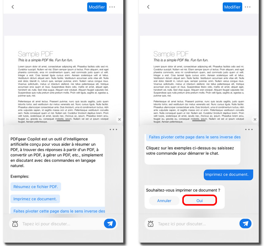 Demander au Copilot d'imprimer le PDF