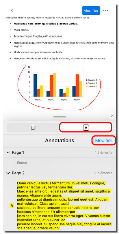 Ouvrir le panneau des annotations
