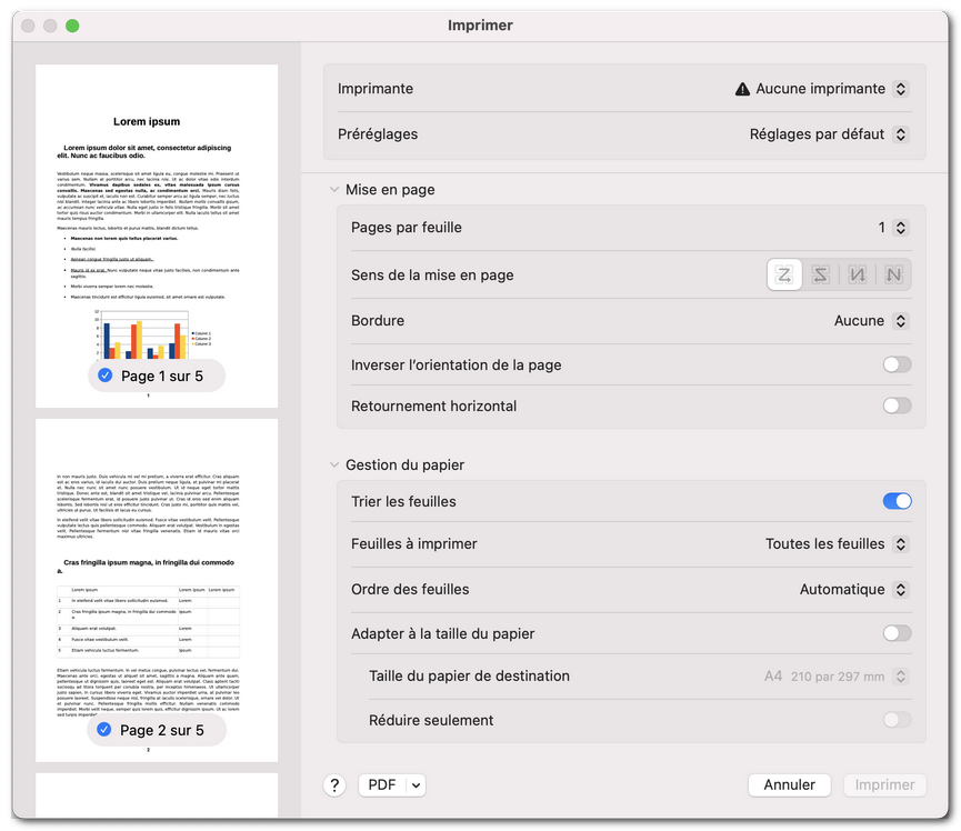 Paramètres de mise en page et de gestion du papier