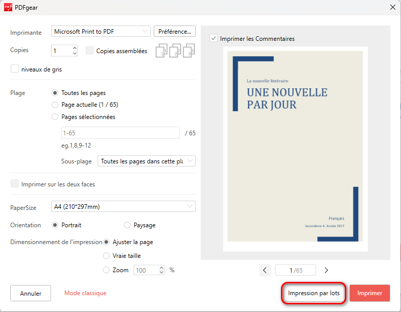 Cliquez sur l'icône d'impression en lot