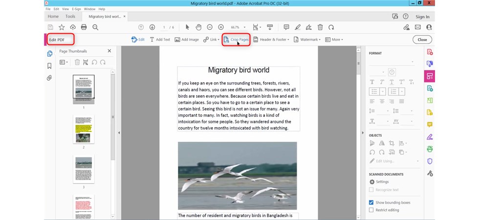 Crop Pages in Adobe Acrobat