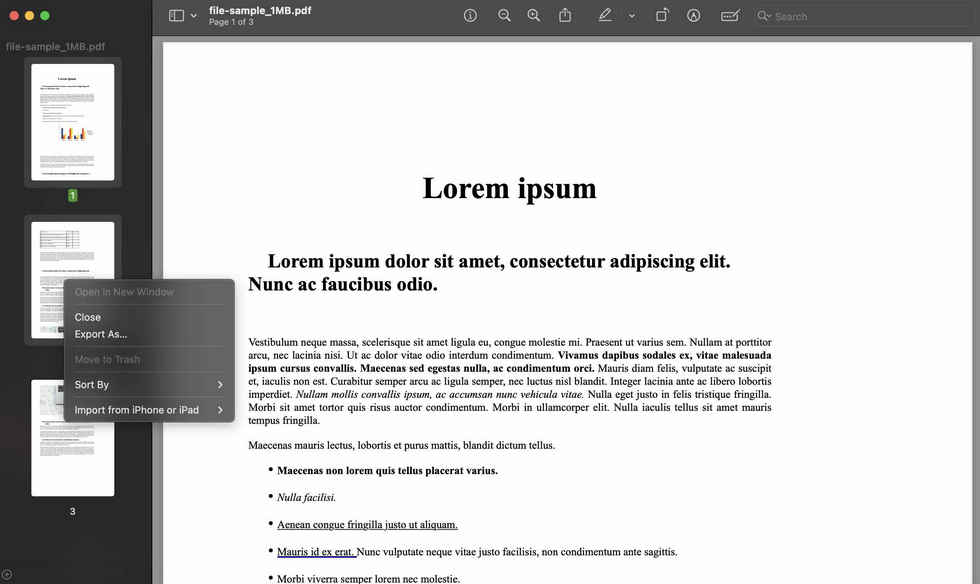 Export the Extracted Pages to a New PDF
