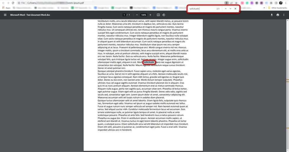 Search for a Word in PDF Using Chrome