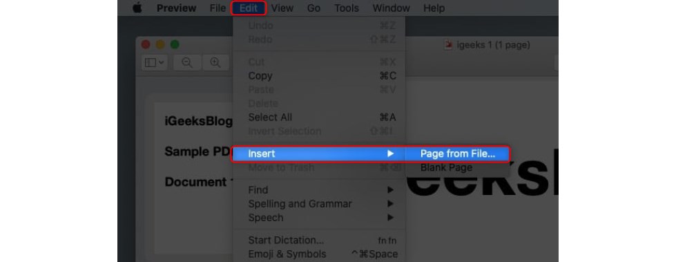 Insert the Page from File