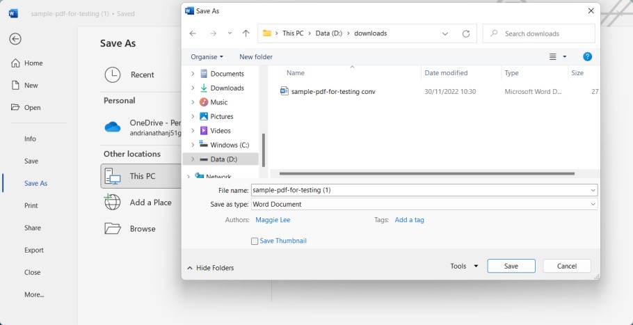 Save the PDF as Word