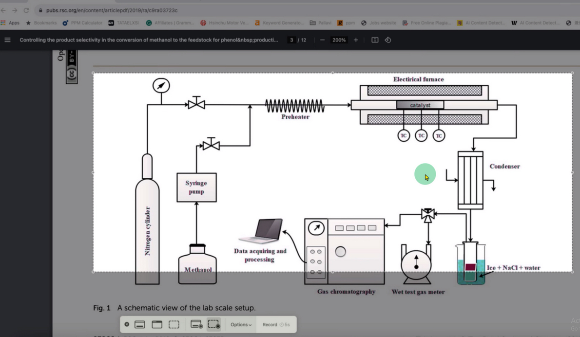 Screenshot PDF