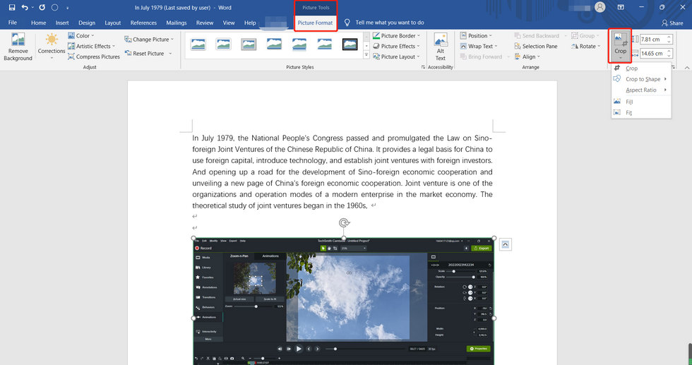 Different Scenes Require Different Picture Sizes