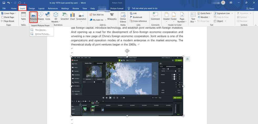 Insert Picture to Word from Device or Online