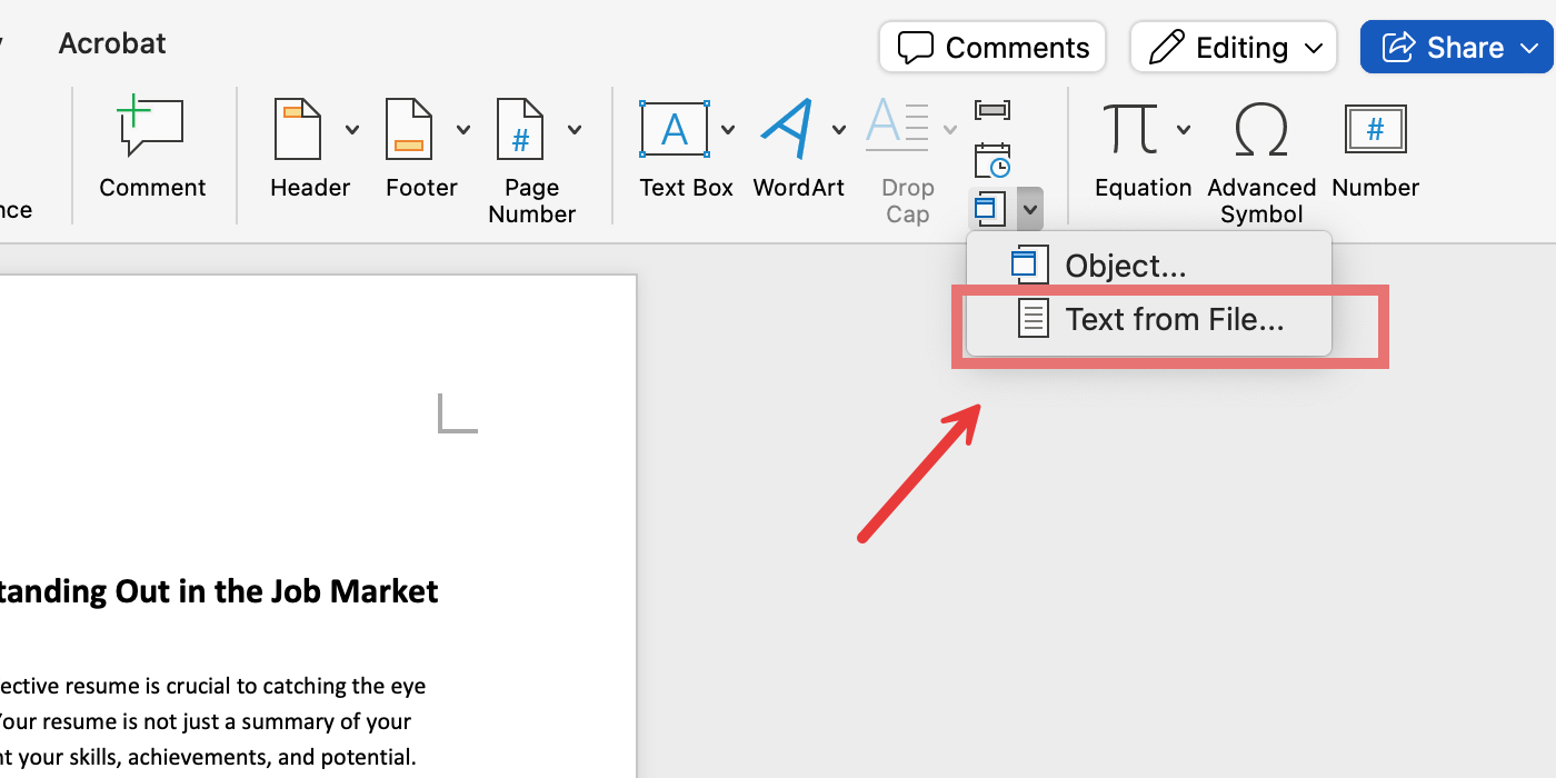 Pilih Teks dari File di Word