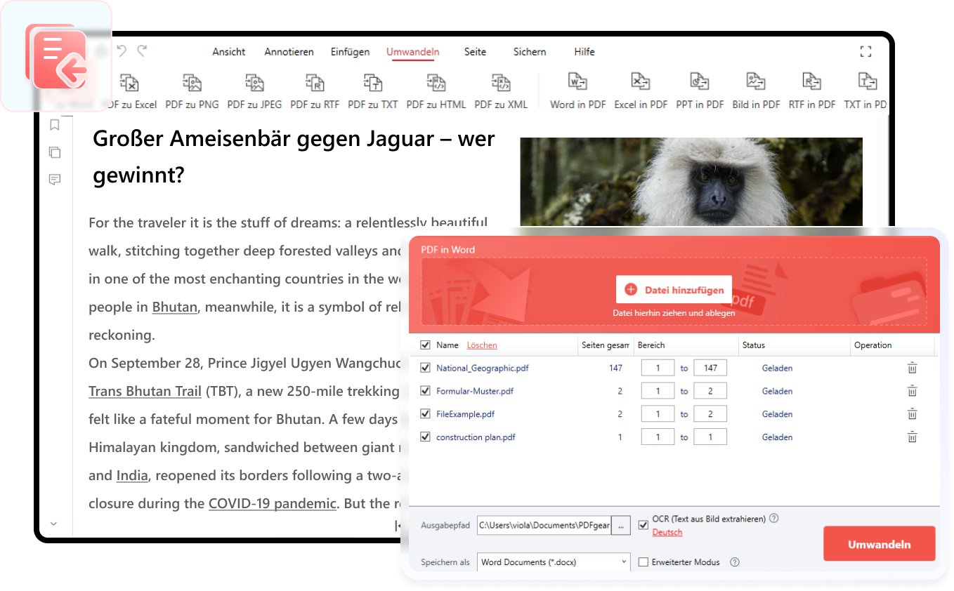 pdf stapelverarbeitung