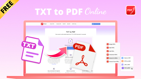 TXT  PDF