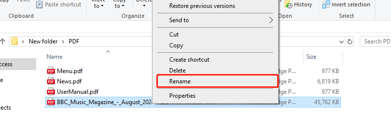 Rename the PDF File
