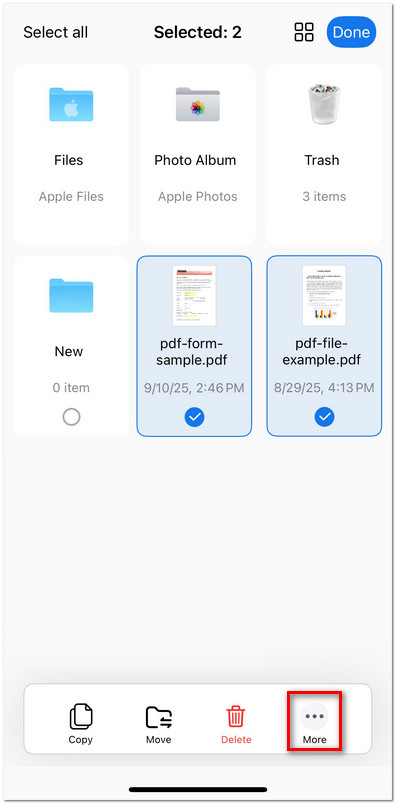 Access More Options in PDFgear for iOS