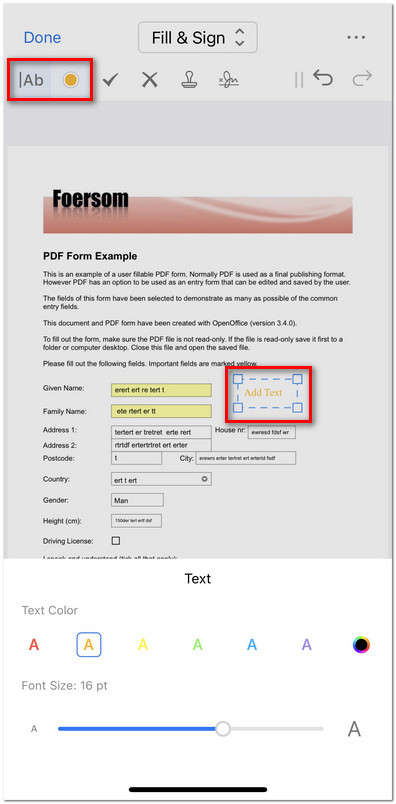 Add Text to the PDF Form