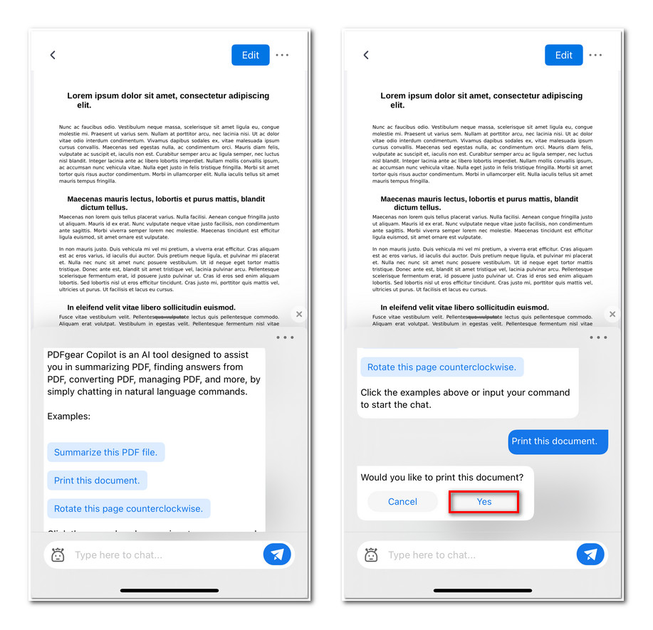Ask the Copilot to Print PDF