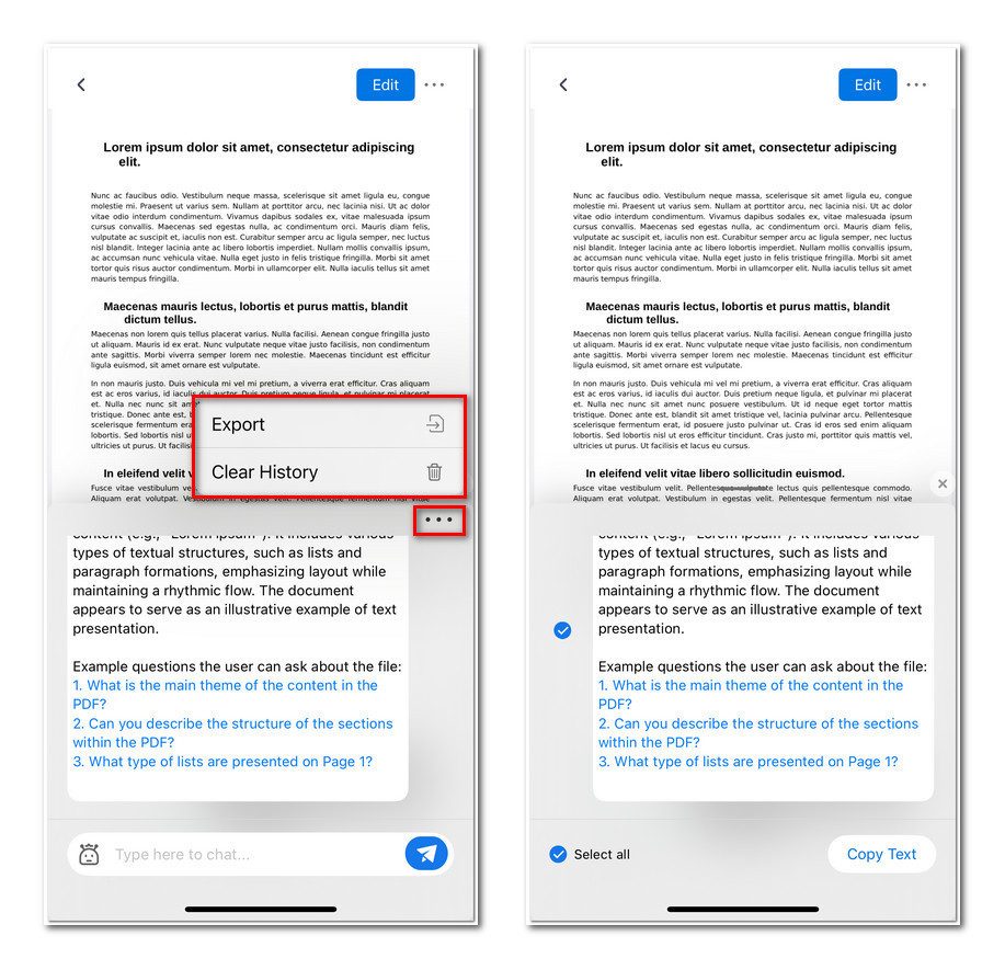Clear or Export the Chat History