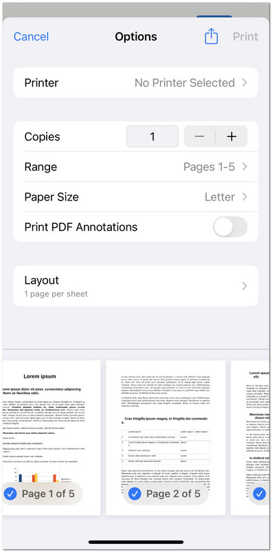Customize the Print Settings in PDFgear for iOS