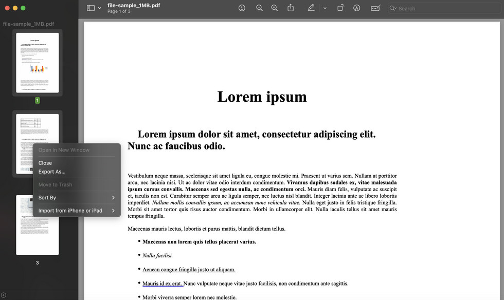 Esporta le Pagine Estratte in un Nuovo PDF