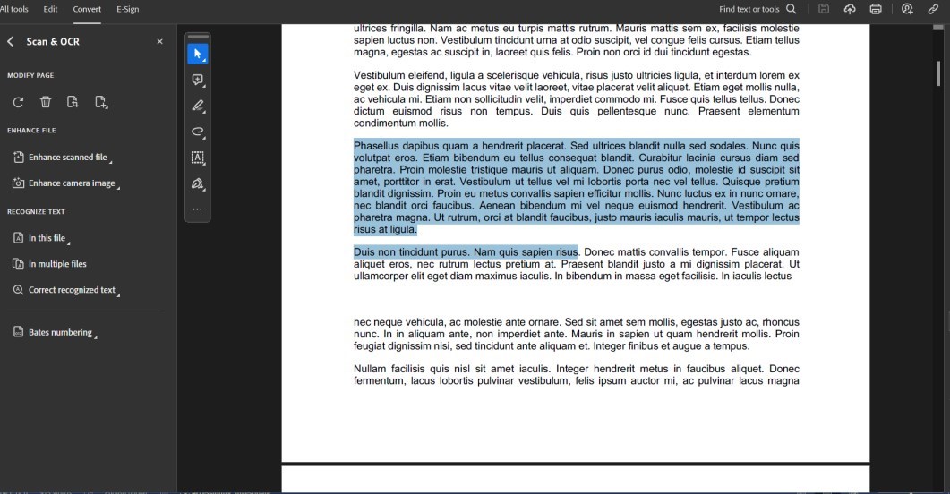 Estrai Testo in Adobe Acrobat