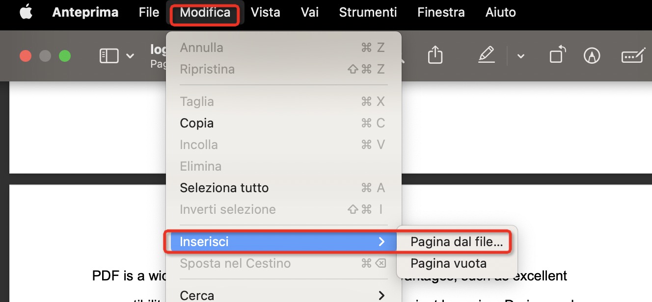 Inserisci la pagina dal file