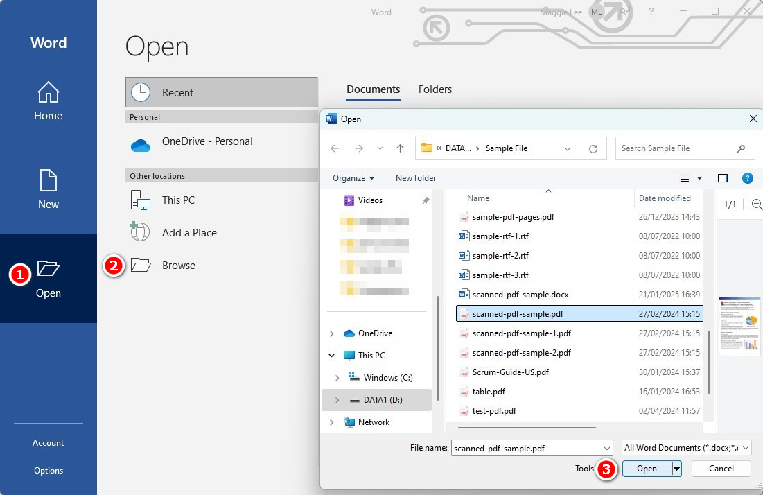 Apri un PDF scansionato in MS Word