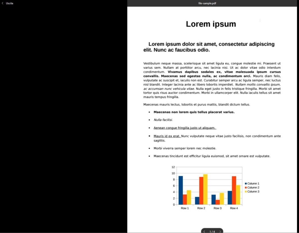 Presenta PDF in modalità presentazione