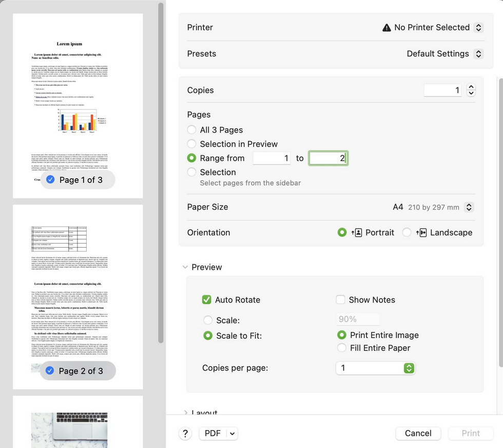 Stampa le Pagine come un Nuovo PDF in Anteprima