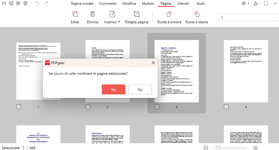 Conferma la Riorganizzazione delle Pagine PDF
