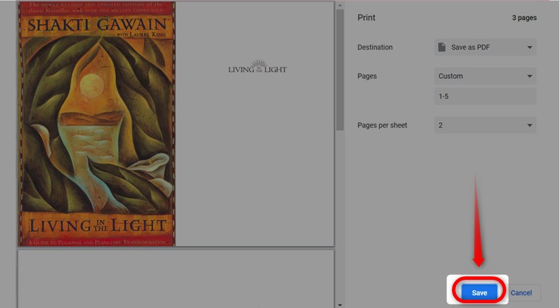 Salva come PDF da Chrome