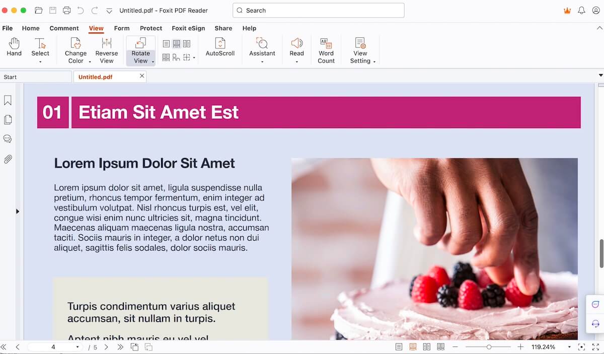 Visualizza PDF in Foxit PDF Reader