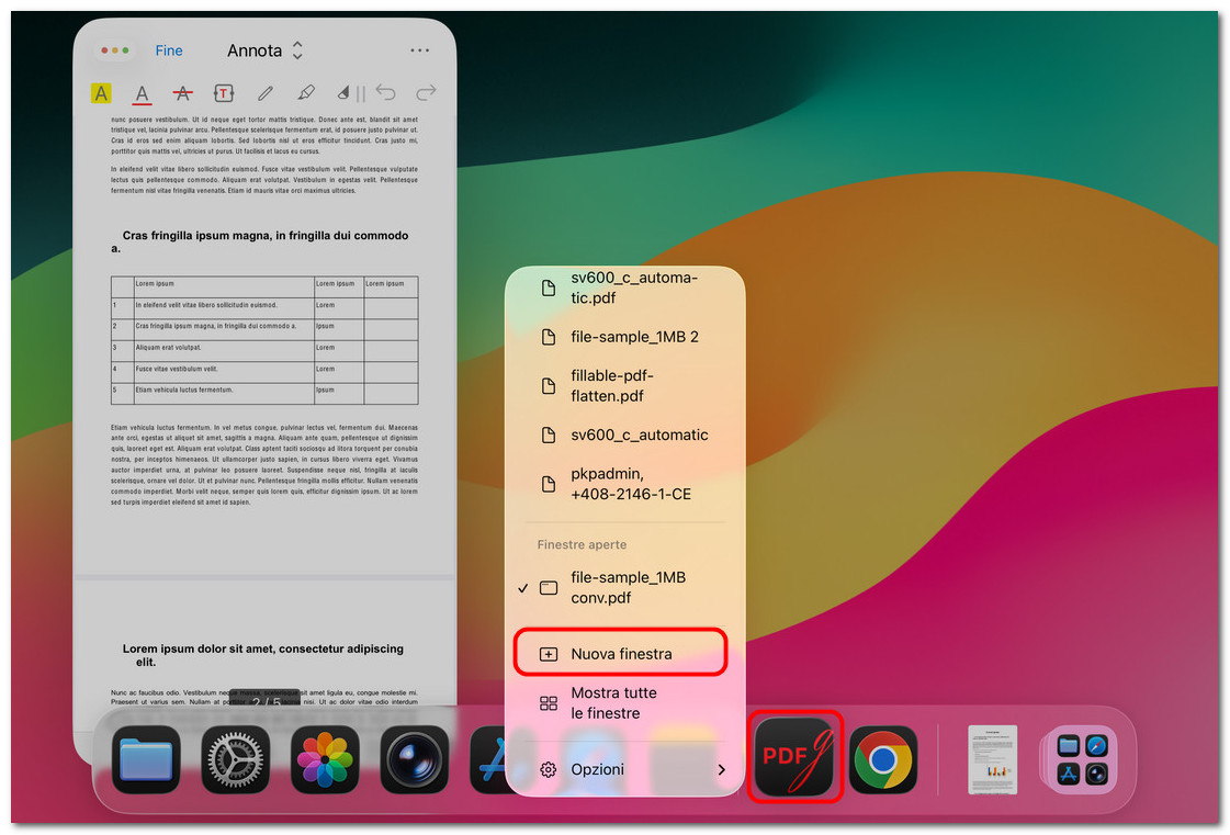 Aprire una nuova finestra di PDFgear su iPad