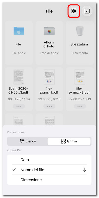 Layout e ordinamento dei file
