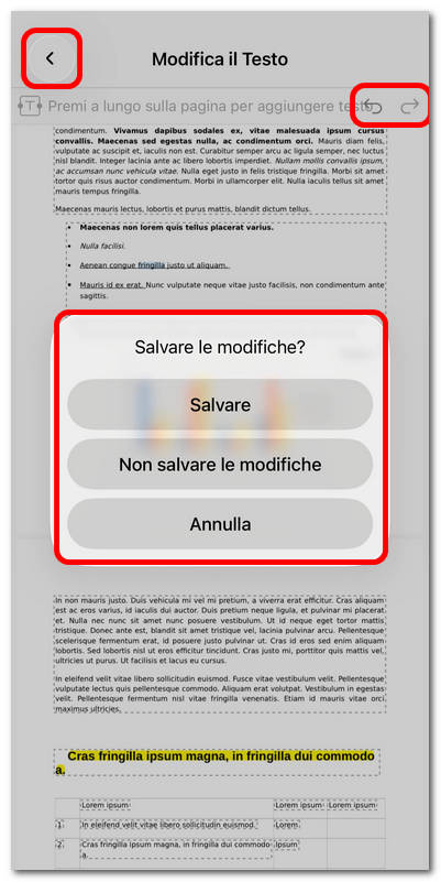 Salvare le modifiche alla modifica