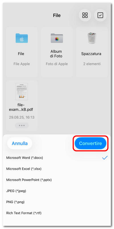 Scegliere un formato per la conversione