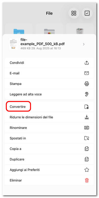 Selezionare l’opzione Converti PDF