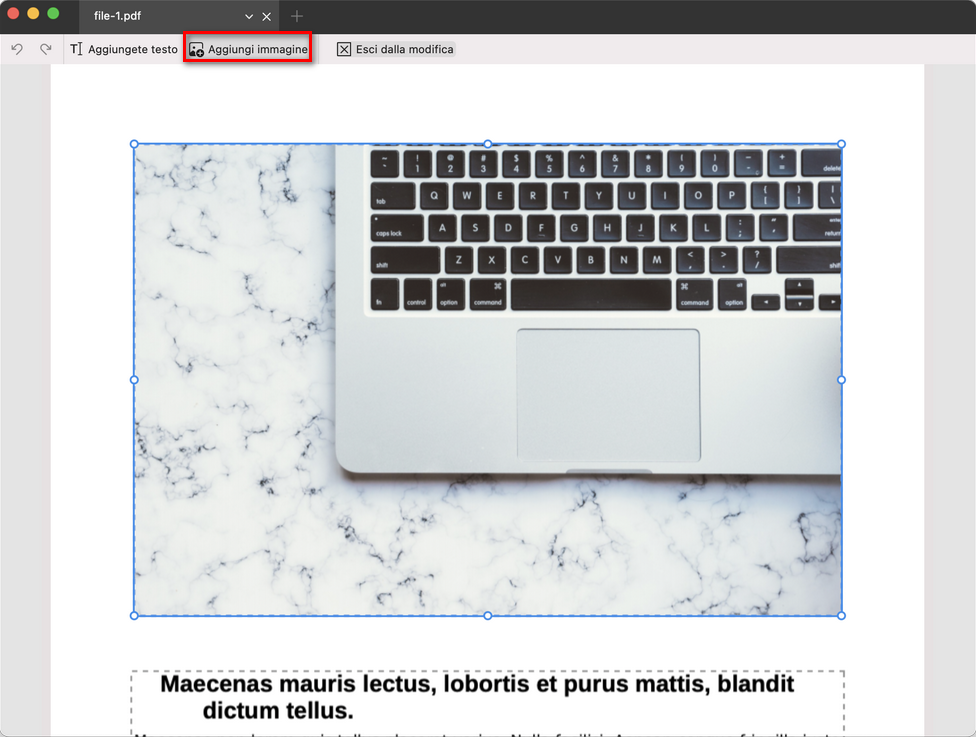 Aggiungere un'immagine a un PDF
