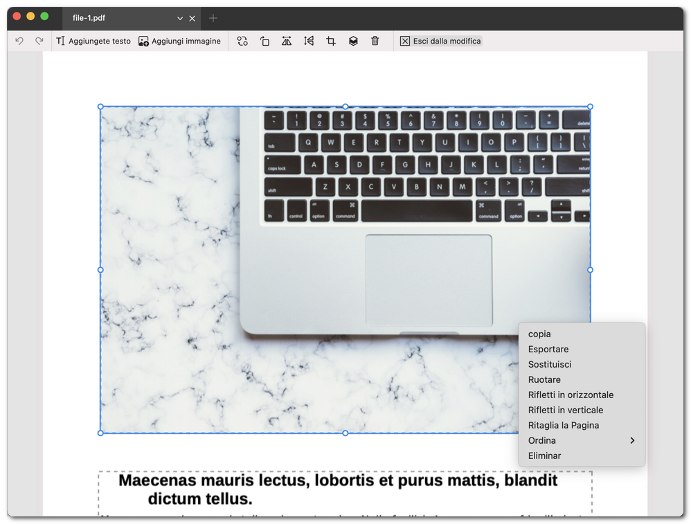 Modificare l'immagine in un PDF