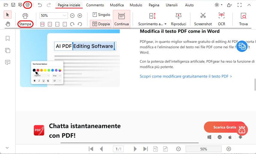 Clicca sull'Icona di Stampa