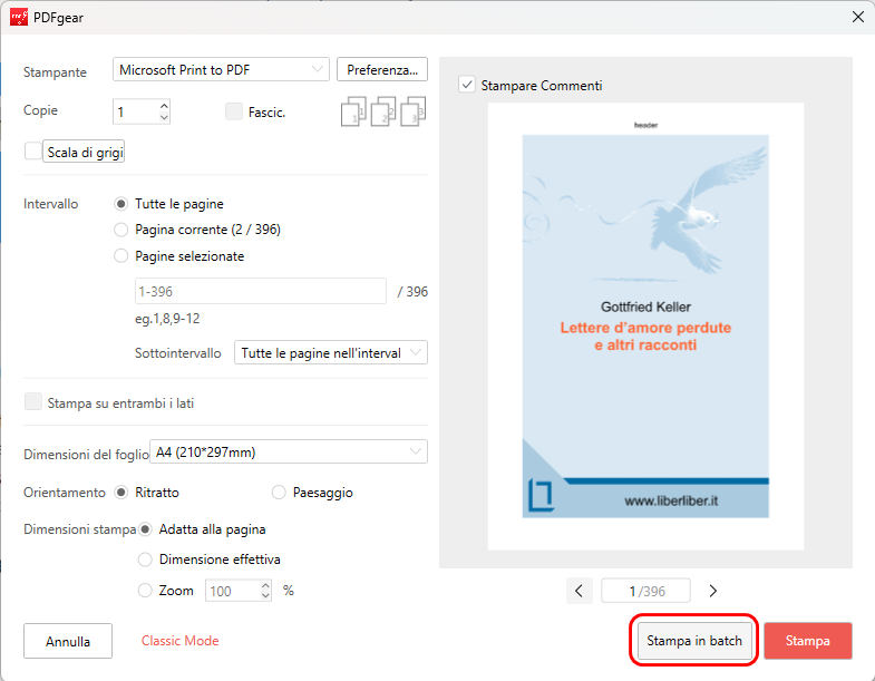 Clicca sull'Icona di Stampa in Batch