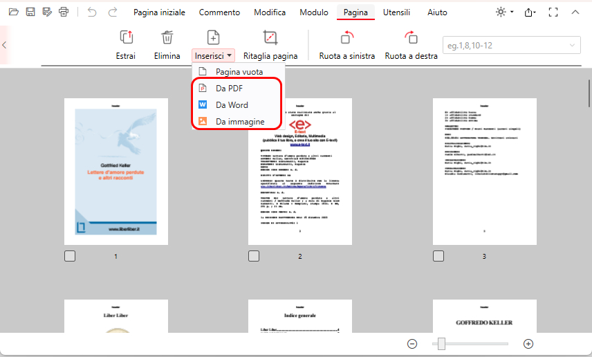 Inserire File nel PDF