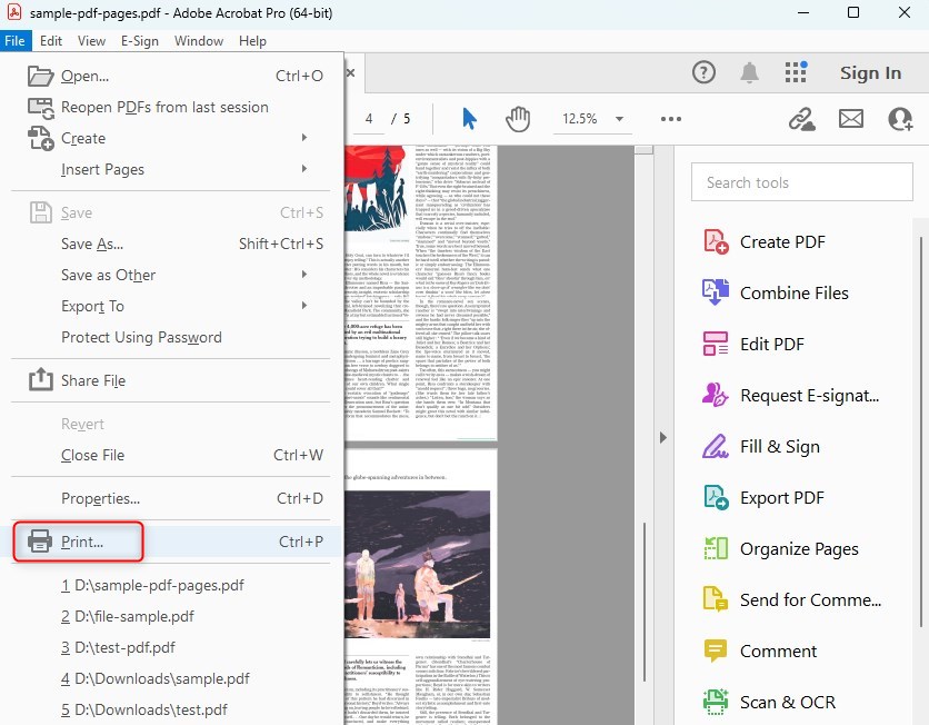 Choose Print in Adobe Acrobat