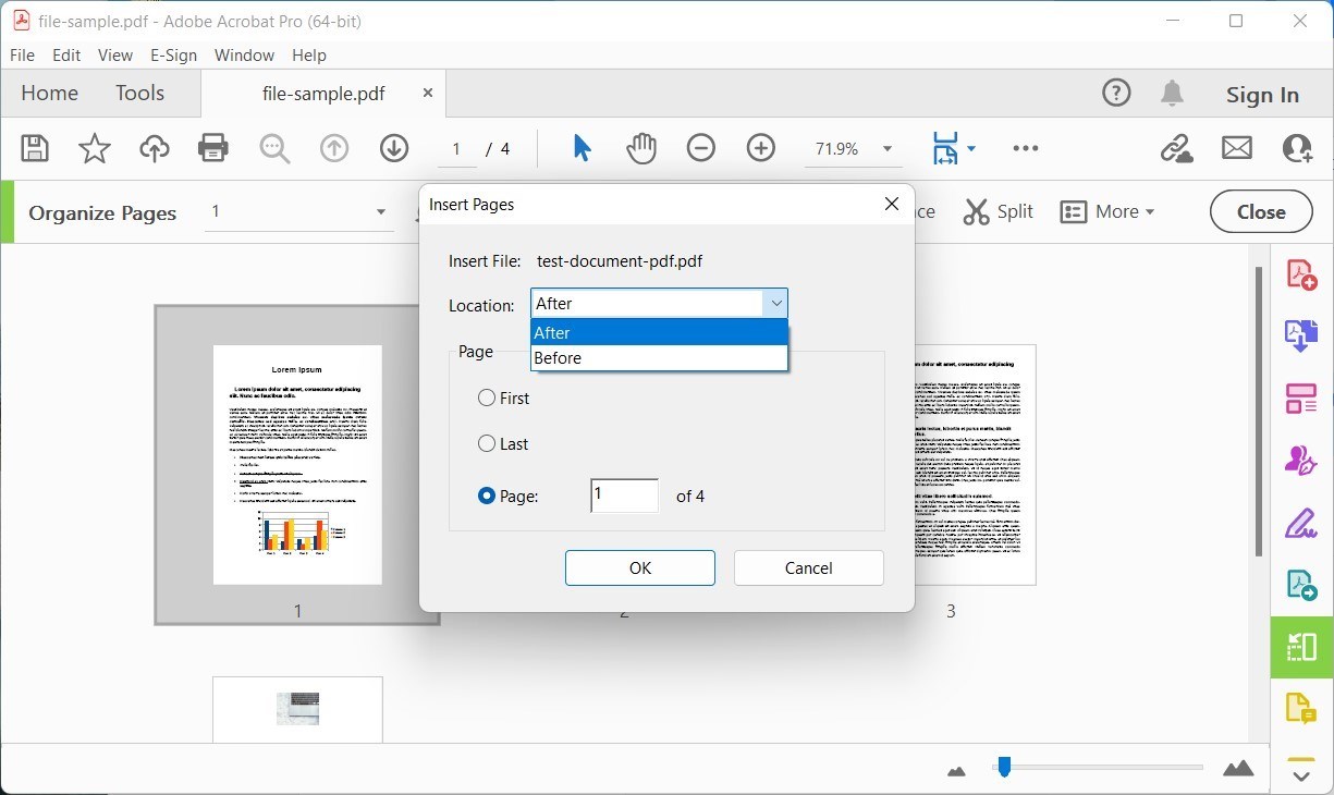 挿入ページの設定をカスタマイズ