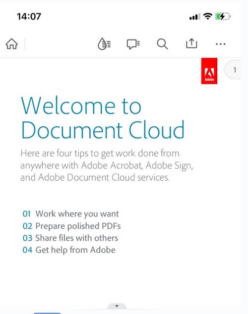 Adobe Acrobat ReaderでPDFを開く