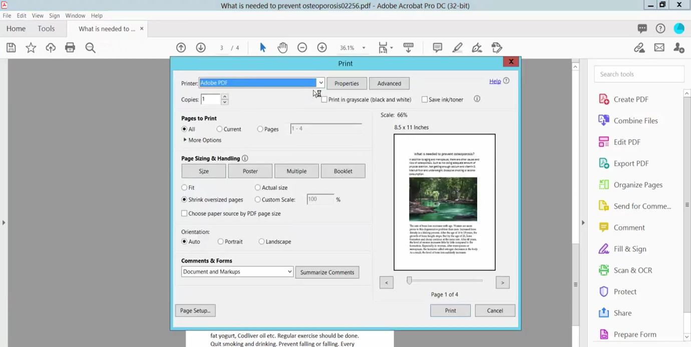 白い背景でPDFを印刷