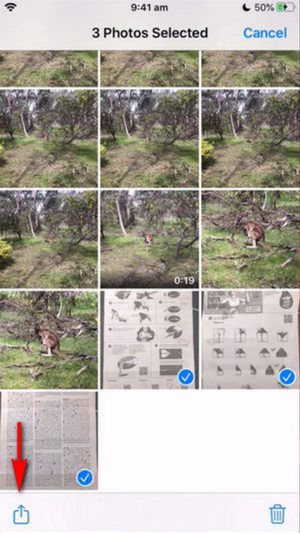 写真からスクリーンショットを共有