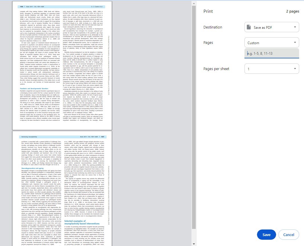 Google ChromeでPDFページを分離