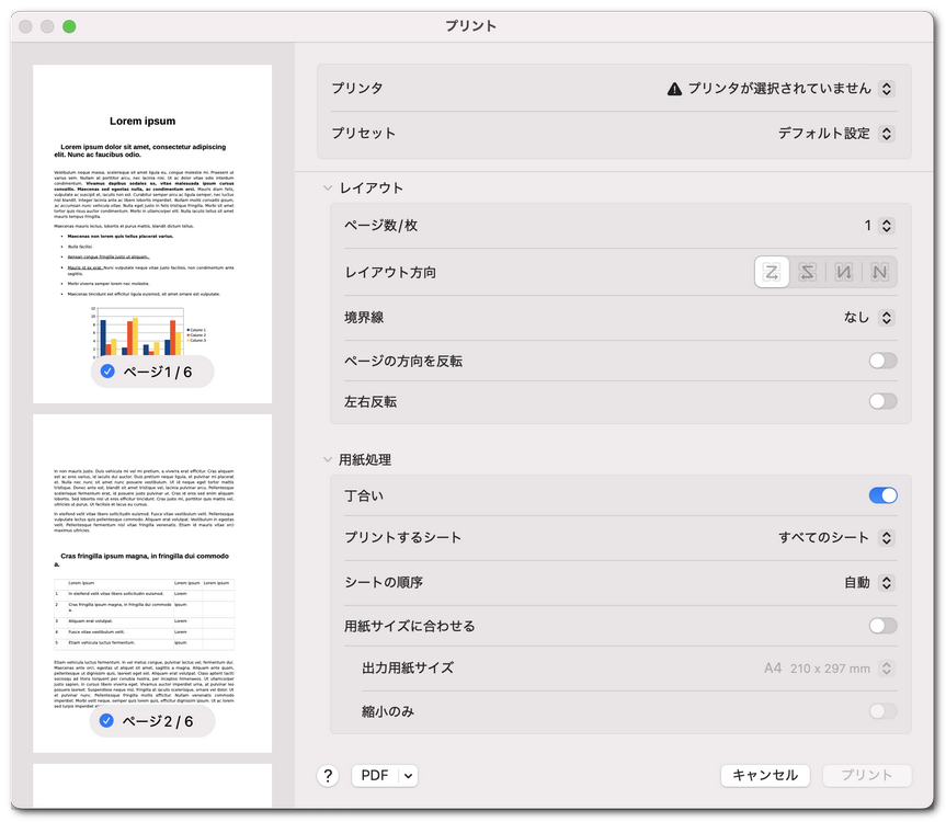 印刷レイアウトのオプションを設定